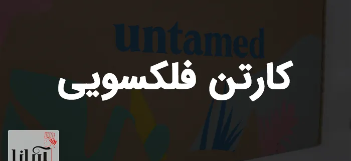 کارتن فلکسویی | چاپ فلکسو بر روی کارتن