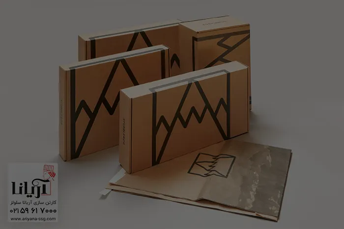 کارتن فلکسو یا جعبه فلکسویی