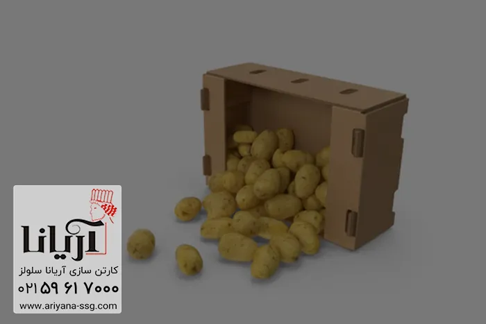 کارتن بسته بندی سیب زمینی
