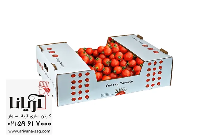 بسته بندی گوجه فرنگی