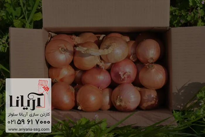 کارتن بسته بندی پیاز