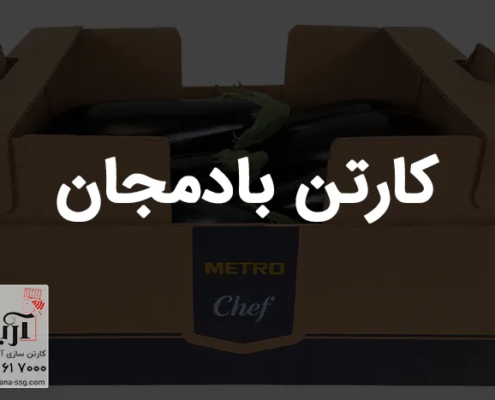 کارتن بادمجان | خرید کارتن بادمجان صادراتی