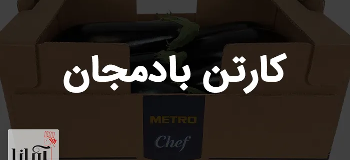 کارتن بادمجان | خرید کارتن بادمجان صادراتی