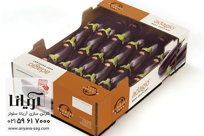 کارتن بادمجان صادراتی