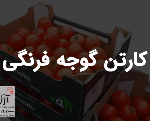 خرید کارتن گوجه فرنگی | تولید کارتن گوجه صادراتی
