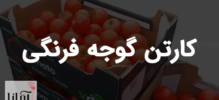 خرید کارتن گوجه فرنگی | تولید کارتن گوجه صادراتی