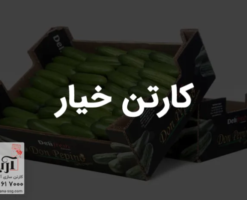 کارتن خیار | بسته بندی خیار صادراتی