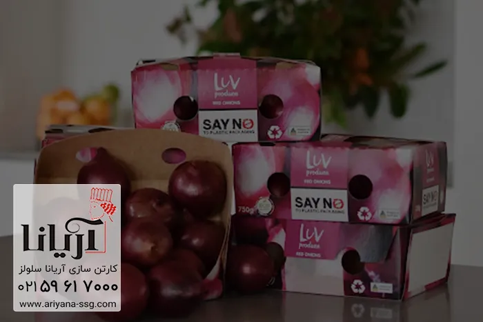 کارتن پیاز لمینتی