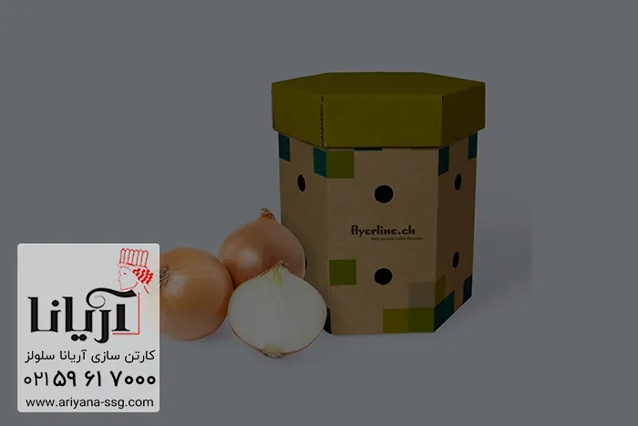 کارتن پیاز صادراتی