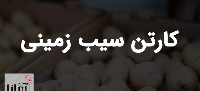 کارتن سیب زمینی | خرید کارتن سیب زمینی صادراتی