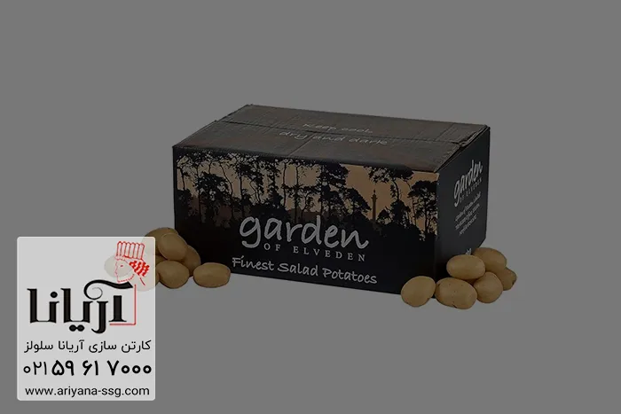 کارتن سیب زمینی صادراتی
