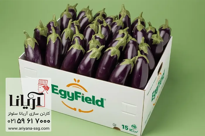 قیمت کارتن بادمجان