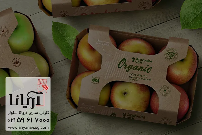 سفارش کارتن بسته بندی سیب