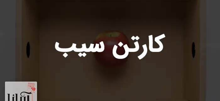 کارتن سیب | خرید کارتن بسته بندی سیب صادراتی
