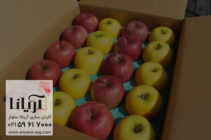 تولیدکننده عمده کارتن سیب